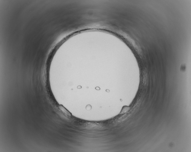 X0000116571270201001211236