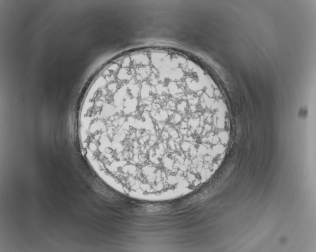 X0000116571271201001211236