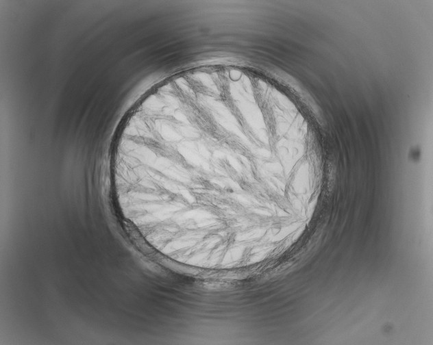 X0000116571274201001211236