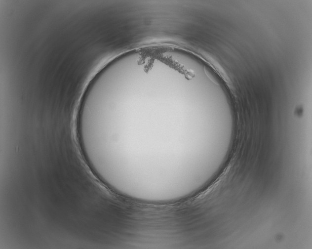 X0000116571277201001211236