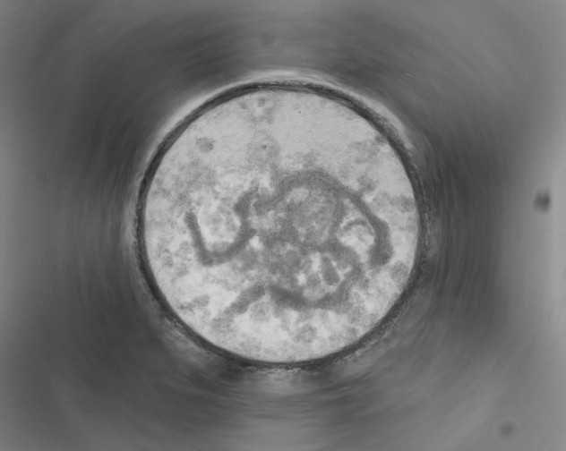 X0000116571279201001211236