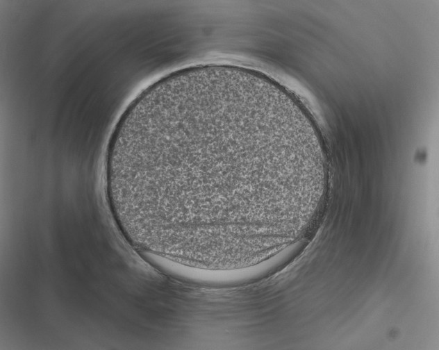 X0000116571280201001211236