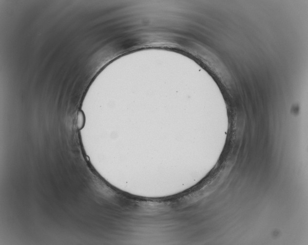 X0000116571281201001211236