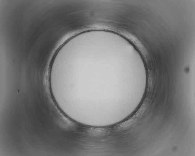 X0000116571286201001211236