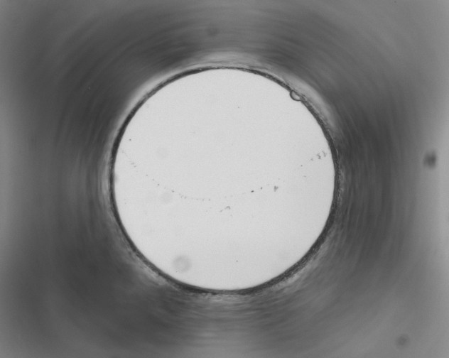 X0000116571288201001211236