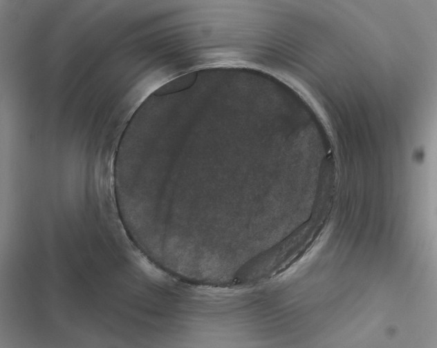 X0000116571289201001211236