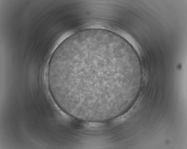 X0000116571290201001211236