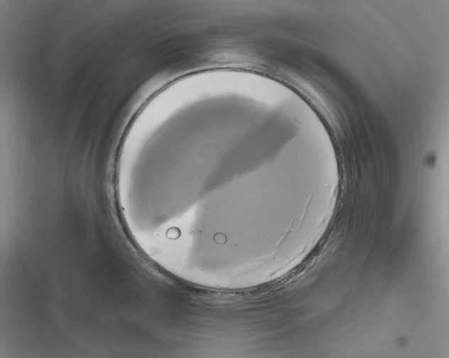 X0000116571291201001211236