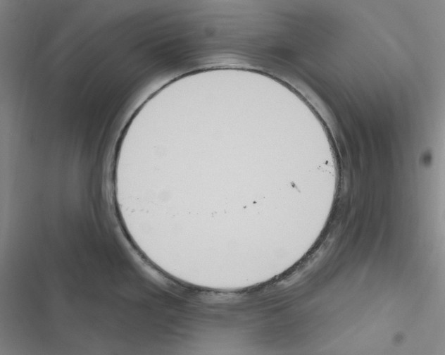 X0000116571293201001211236