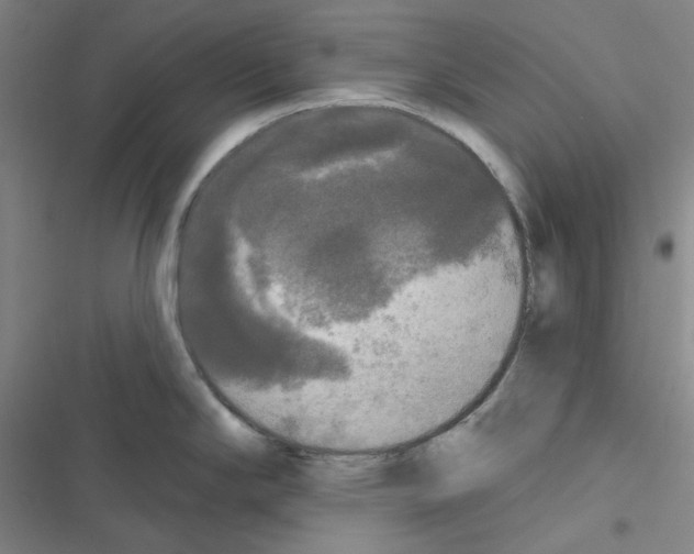 X0000116571294201001211236