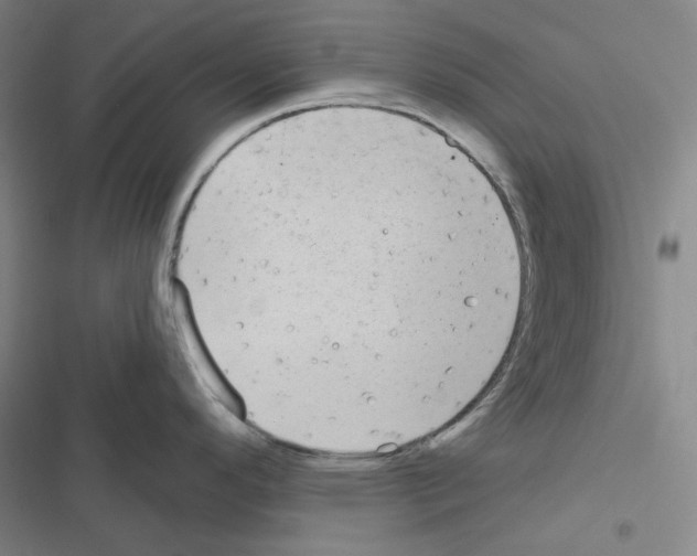 X0000116571296201001211236