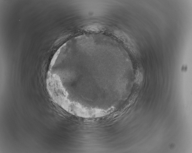 X0000116571297201001211235