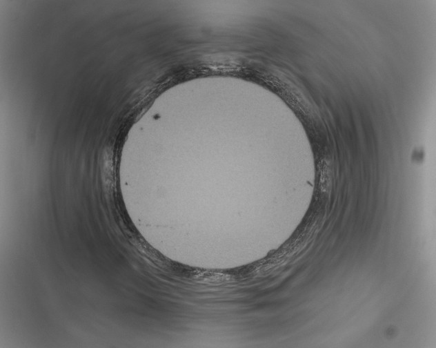 X0000116571298201001211235