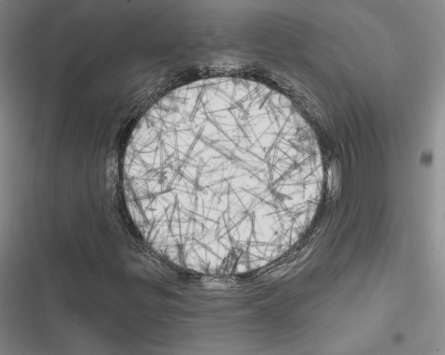 X0000116571299201001211235