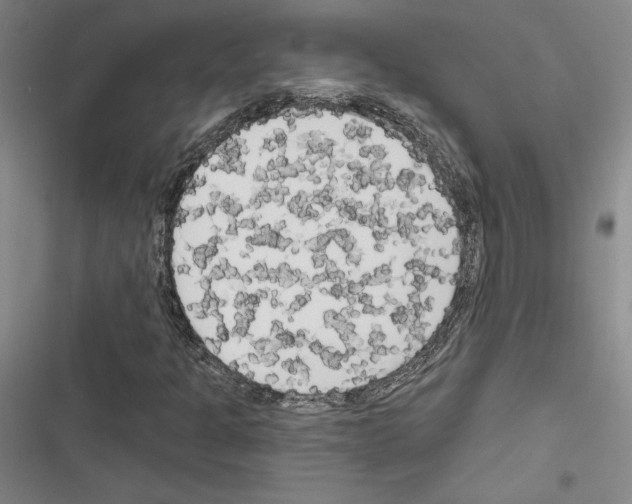 X0000116571301201001211235