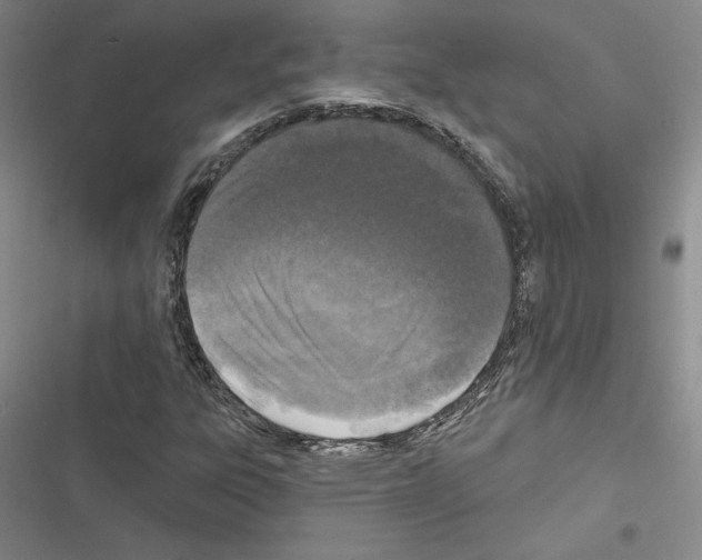 X0000116571303201001211235