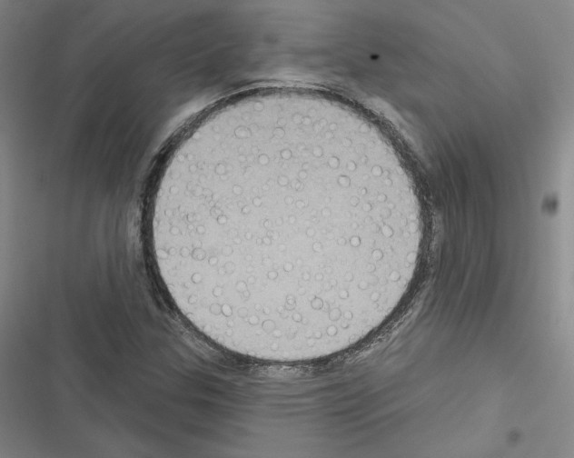 X0000116571307201001211235