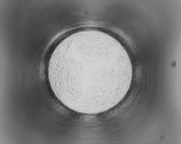 X0000116571310201001211235