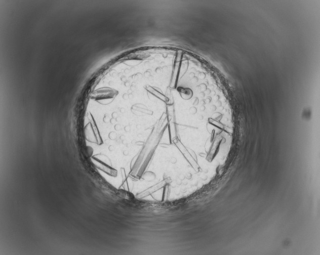 X0000116571311201001211235