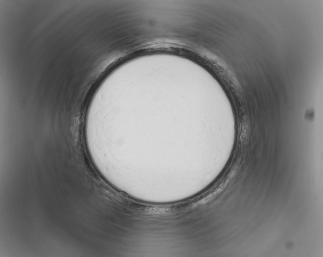 X0000116571313201001211235