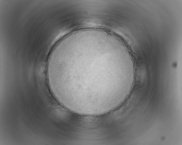 X0000116571314201001211235