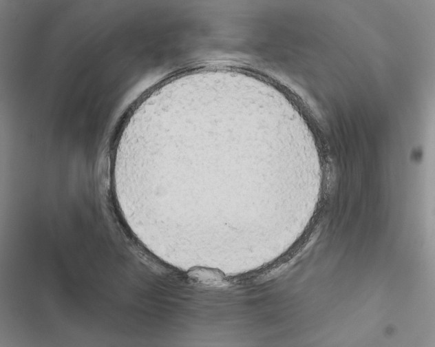 X0000116571317201001211235