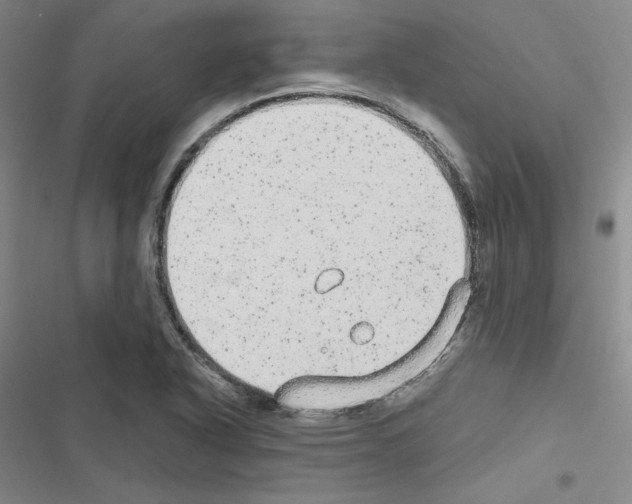 X0000116571318201001211235