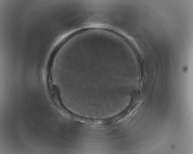 X0000116571319201001211235