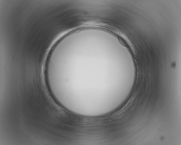 X0000116571323201001211235