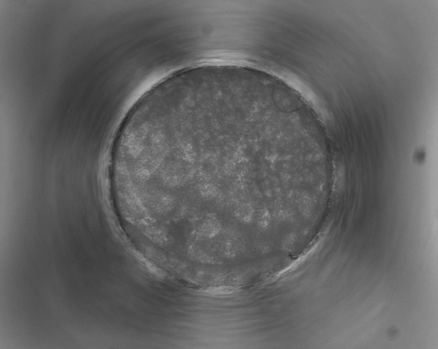 X0000116571325201001211235