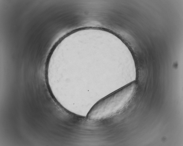 X0000116571326201001211235