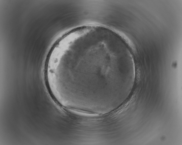 X0000116571327201001211235