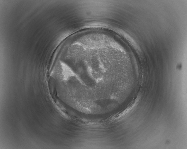 X0000116571329201001211235