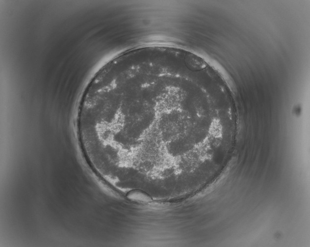 X0000116571333201001211235