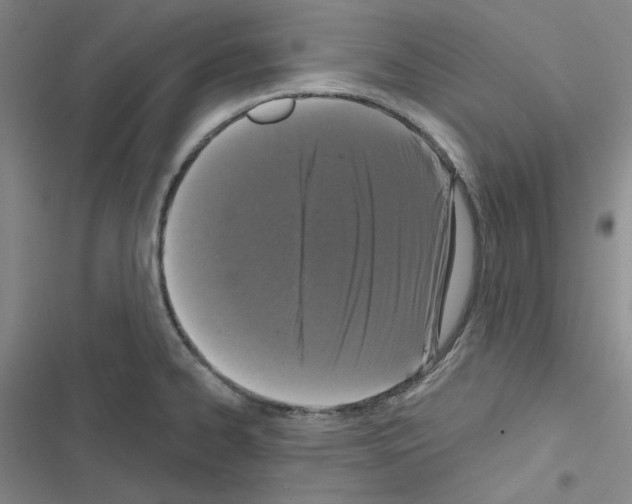 X0000116571334201001211235