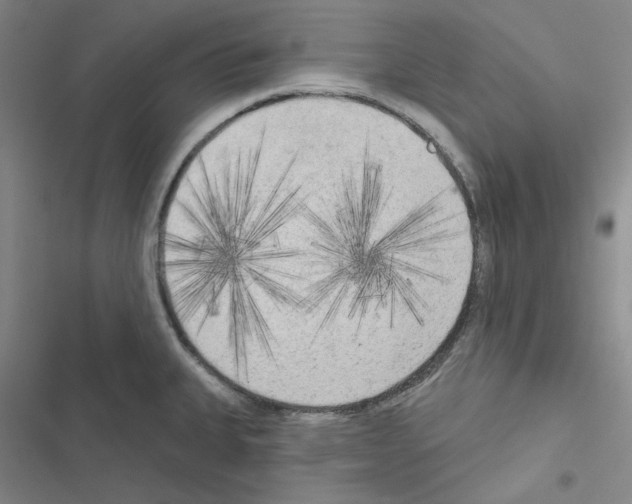 X0000116571335201001211235