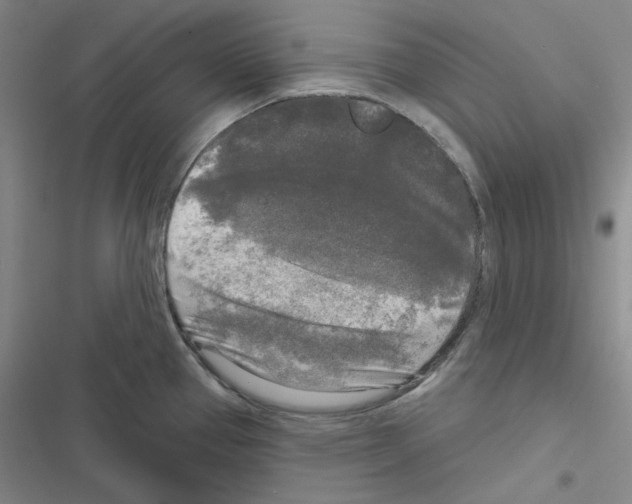 X0000116571337201001211236