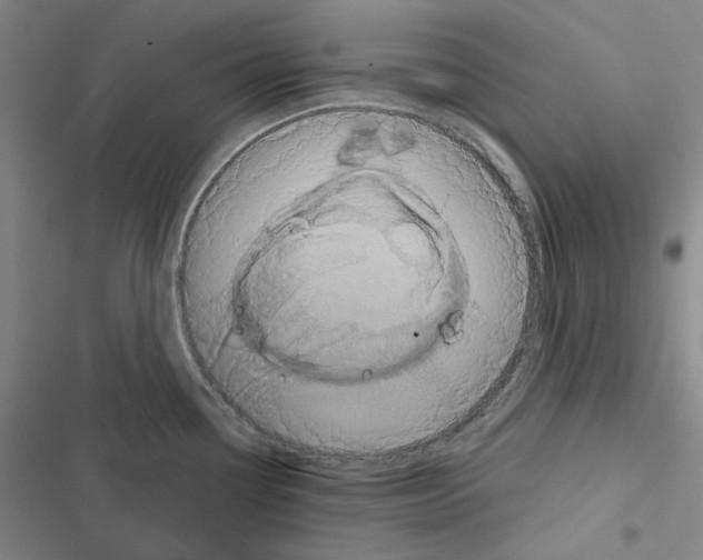 X0000116571338201001211236