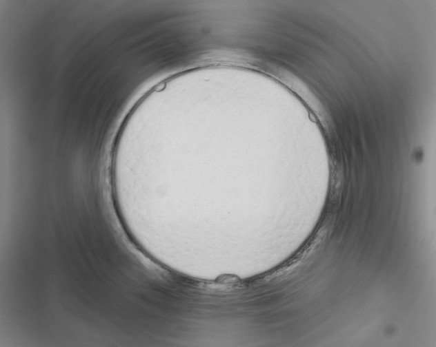 X0000116571339201001211236