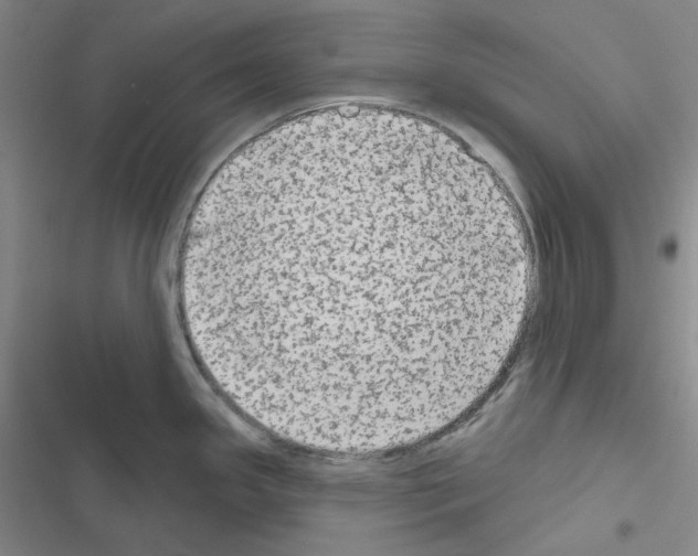 X0000116571341201001211236