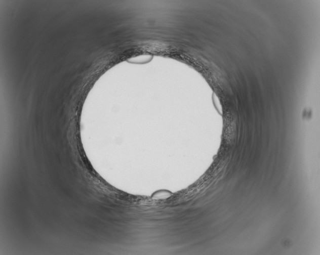 X0000116571345201001211235