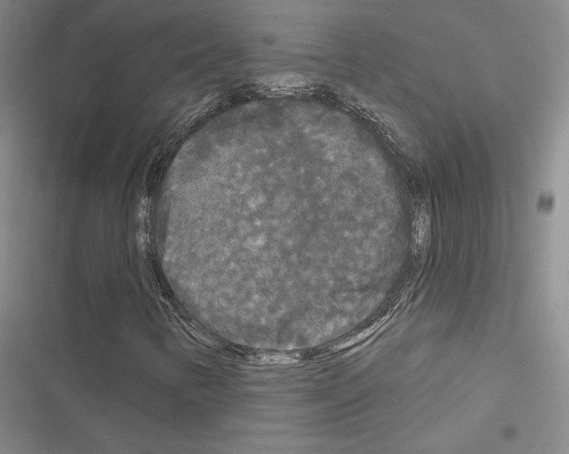 X0000116571346201001211235