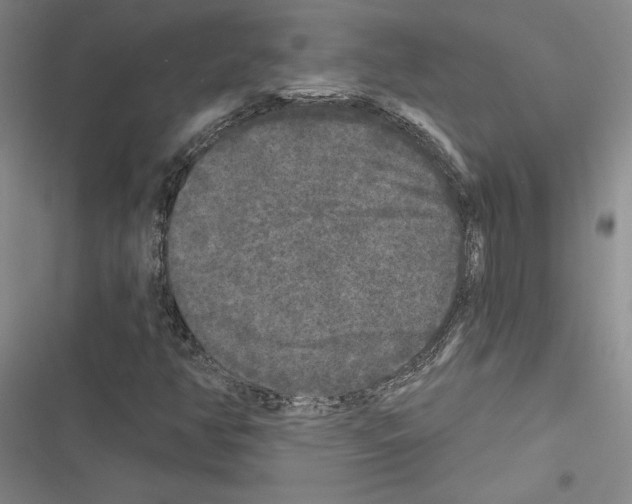 X0000116571350201001211235