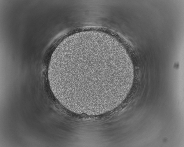 X0000116571351201001211235