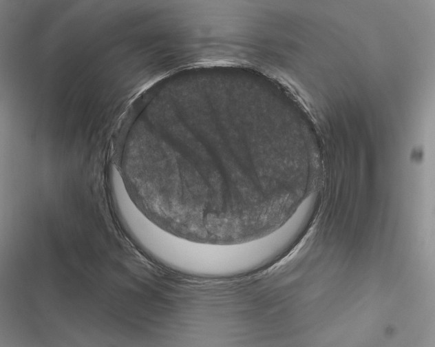 X0000116571353201001211235