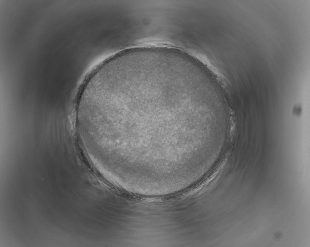 X0000116571358201001211235