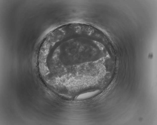 X0000116571359201001211235