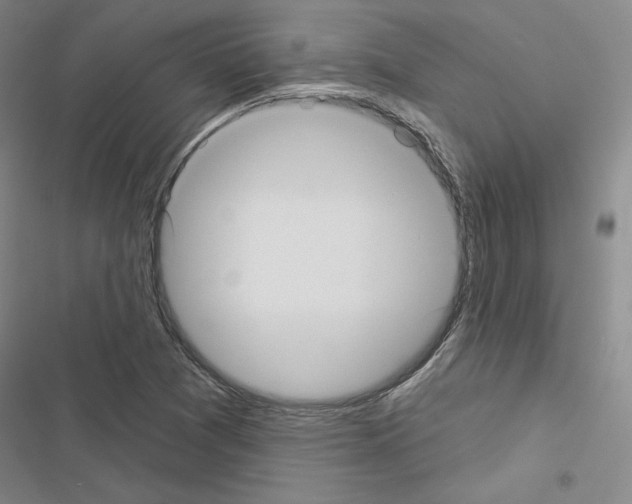 X0000116571361201001211235