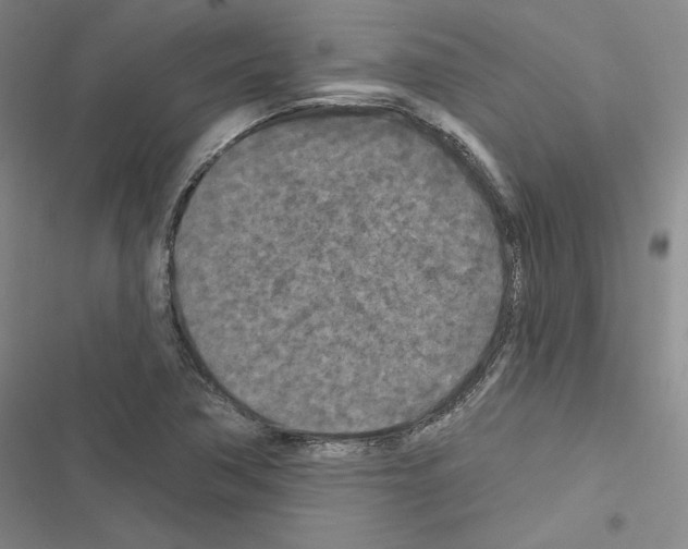 X0000116571362201001211235