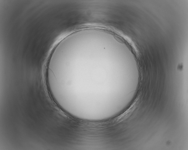 X0000116571365201001211235